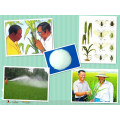 New Model Agrochemicals Insecticide Fenitrothion